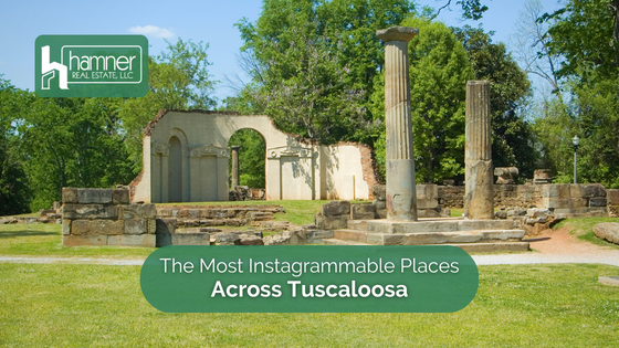 Has your Instagram been a little empty lately? Explore Tuscaloosa and snap stunning photos at these locations.