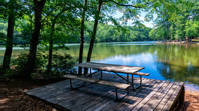 Tuscaloosa Staycation Ideas: Relax Close to Home | Hamner Real Estate